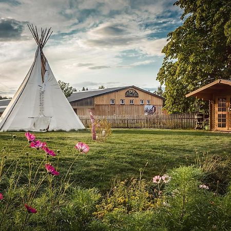 Ranchhouse Bubble - Westernstable - Horse Elterlein Ngoại thất bức ảnh
