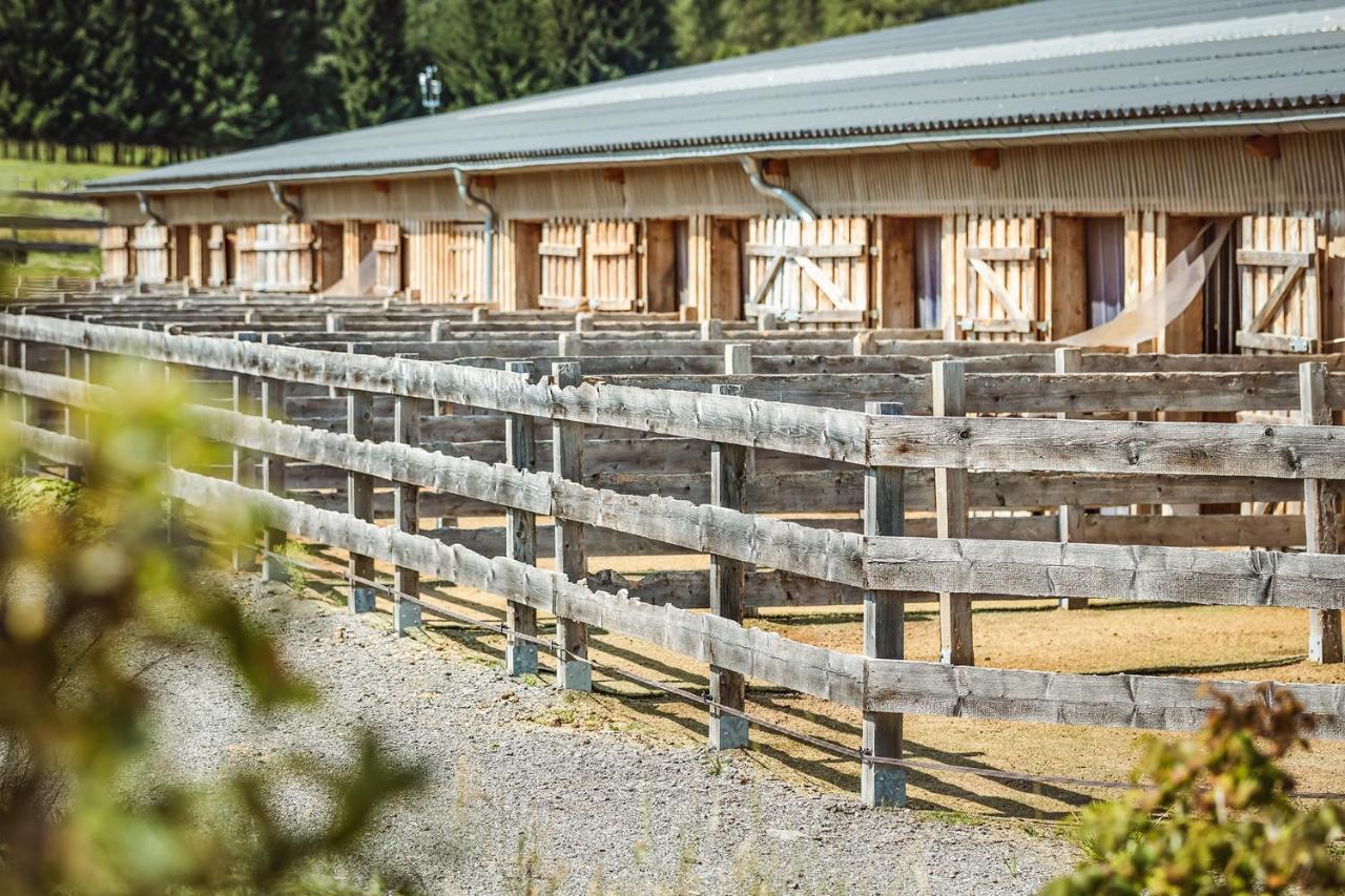 Ranchhouse Bubble - Westernstable - Horse Elterlein Ngoại thất bức ảnh